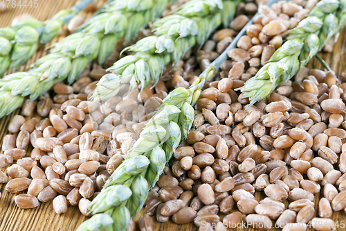 Image of harvested cereal, close up