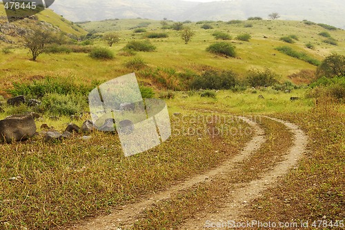 Image of Golan heights