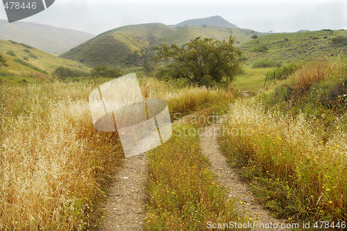 Image of Golan heights