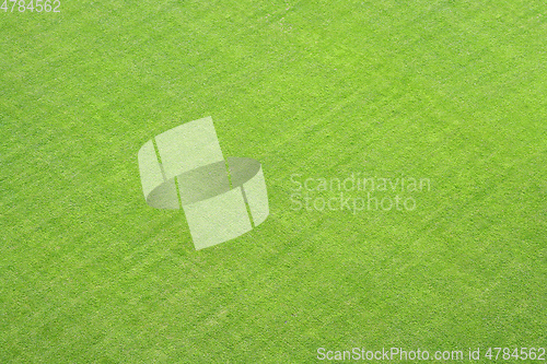 Image of green grass lawn