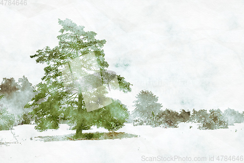 Image of winter landscape scenery with a pine tree digital watercolor pai