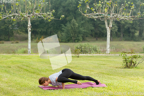 Image of Young beautiful woman doing yoga exercise in green park. Healthy lifestyle and fitness concept.