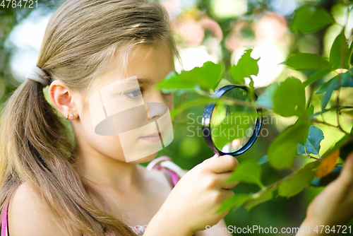 Image of Girl is looking at tree leaves through magnifier