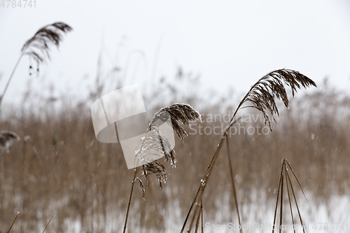 Image of Winter season