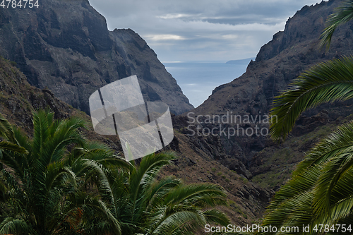 Image of View on Teno mountains