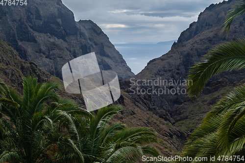 Image of View on Teno mountains