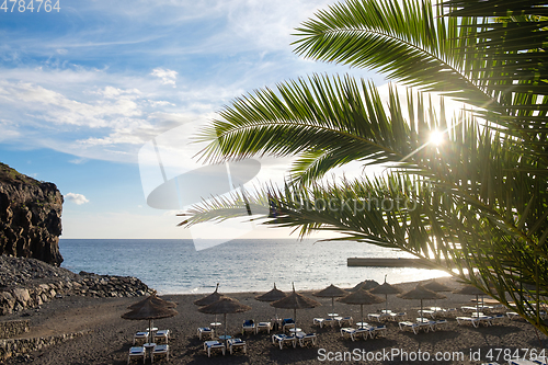 Image of view on beach through palm tree leaves