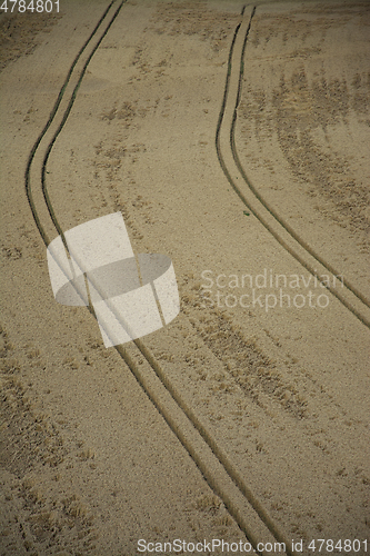 Image of Grainfield near Laboe, Germany