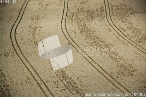 Image of Grainfield near Laboe, Germany