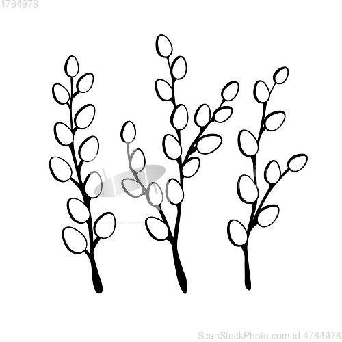 Image of Willow twigs in black isolated on white