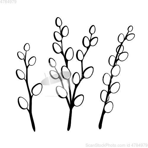 Image of Willow twigs in black isolated on white