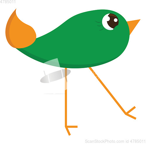 Image of A small green bird with long legs looks cute vector or color ill