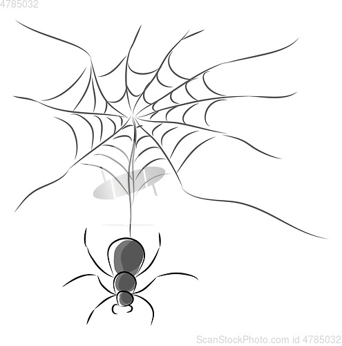 Image of A black and white picture of a spider with its web vector color 