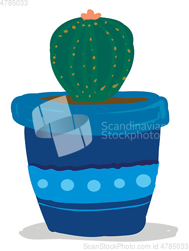 Image of A cactus plant with pink flower in a beautiful blue pot provides
