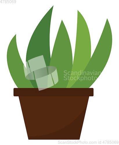 Image of Clipart of home plant growing in a brown pot vector or color ill