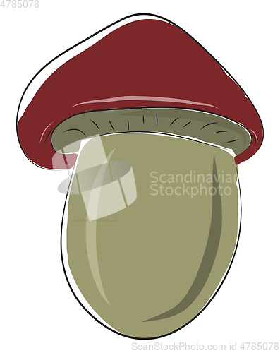 Image of A brown mushroom, vector color illustration.