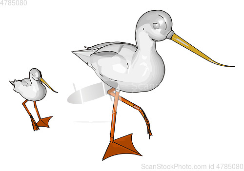 Image of large wading bird vector or color illustration