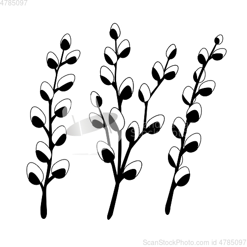 Image of Willow twigs in black isolated on white