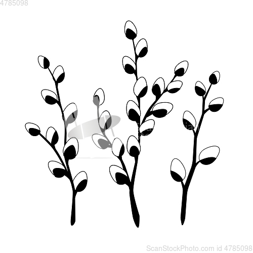 Image of Willow twigs in black isolated on white