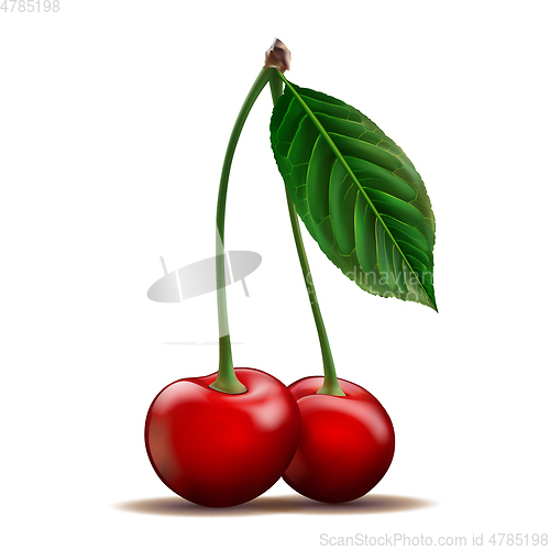 Image of Two ripe red Cherry isolated on white background.