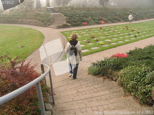 Image of Graveyard