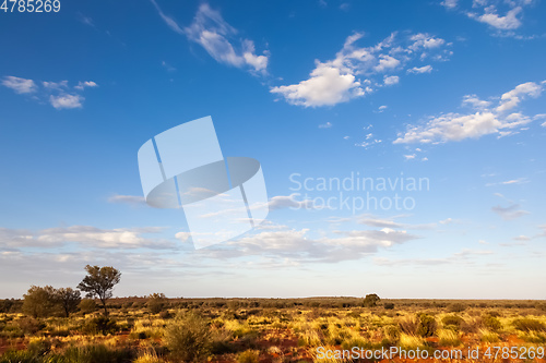 Image of landscape scenery of the Australia outback