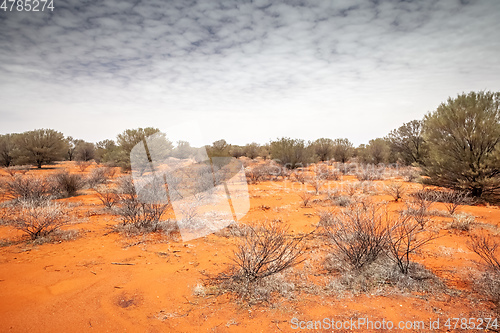 Image of landscape scenery of the Australia outback