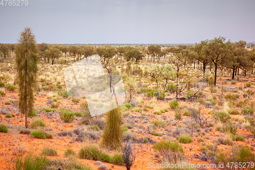 Image of landscape scenery of the Australia outback