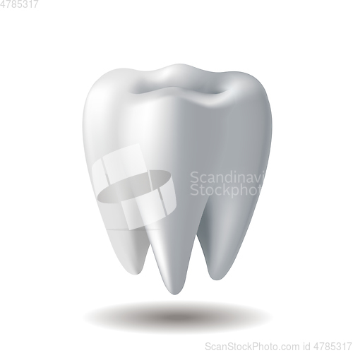 Image of Realistic white Tooth isolated on white background