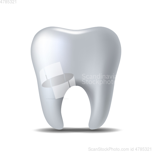Image of Realistic white Tooth isolated on white background