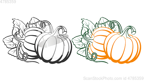 Image of Pumpkins with leaves, silhouette on white background.