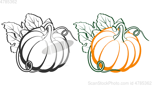 Image of Pumpkins with leaves, silhouette on white background.