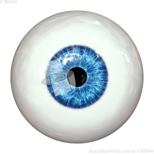 Image of blue human eye ball