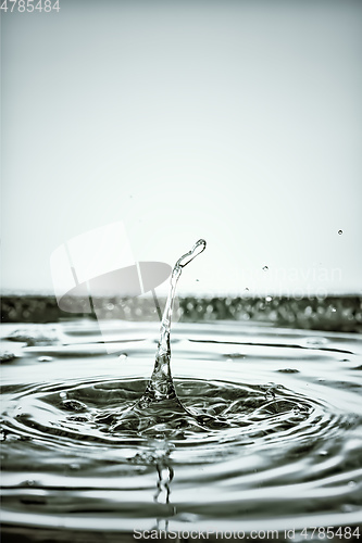 Image of black water drop background