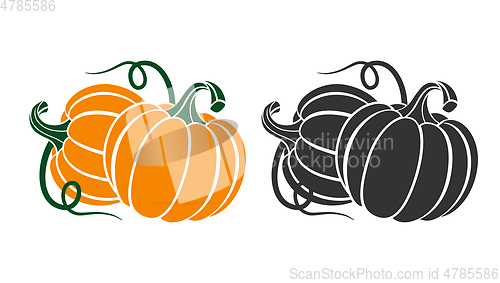 Image of Pumpkins with leaves, silhouette on white background.