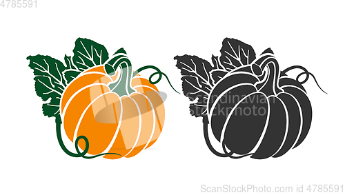 Image of Pumpkins with leaves, silhouette on white background.