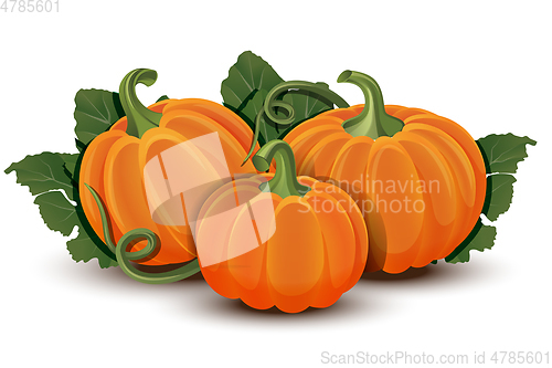 Image of Pumpkins with leaves isolated on white background