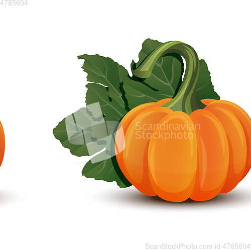 Image of Pumpkins with leaves isolated on white background