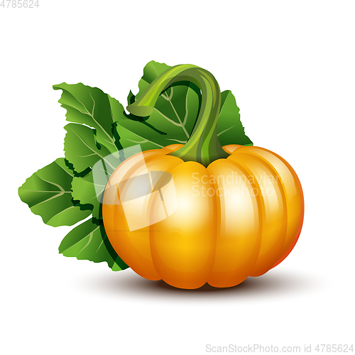 Image of Pumpkins with leaves isolated on white background