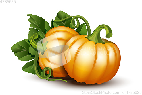 Image of Pumpkins with leaves isolated on white background