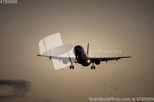 Image of air plane in sunset sky