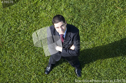 Image of Businessman in the grass