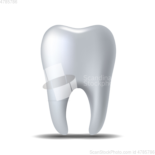 Image of Realistic white Tooth isolated on white background