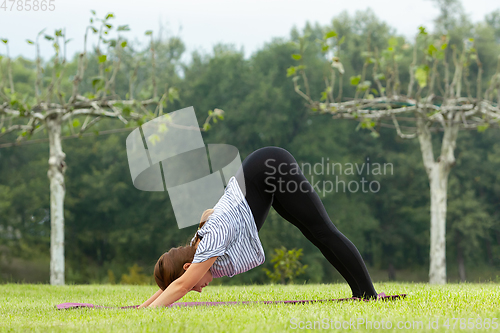 Image of Young beautiful woman doing yoga exercise in green park. Healthy lifestyle and fitness concept.