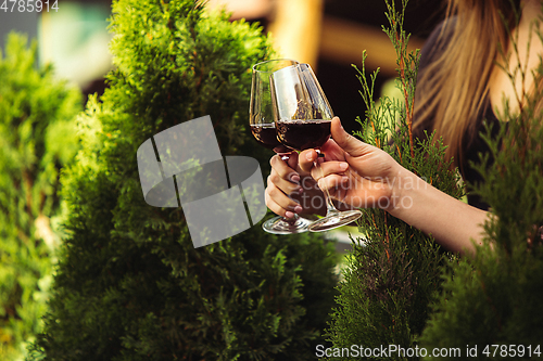 Image of People clinking glasses with wine on the summer terrace of cafe or restaurant. Close up shot, lifestyle.