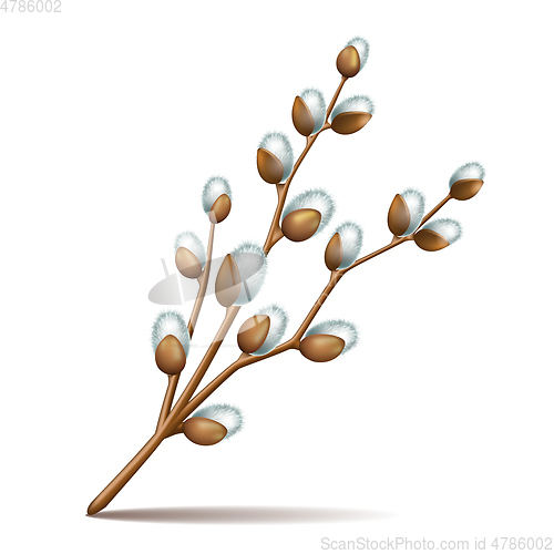 Image of Spring twigs easter blossom pussy willow tree