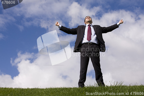 Image of Businessman enjoying nature