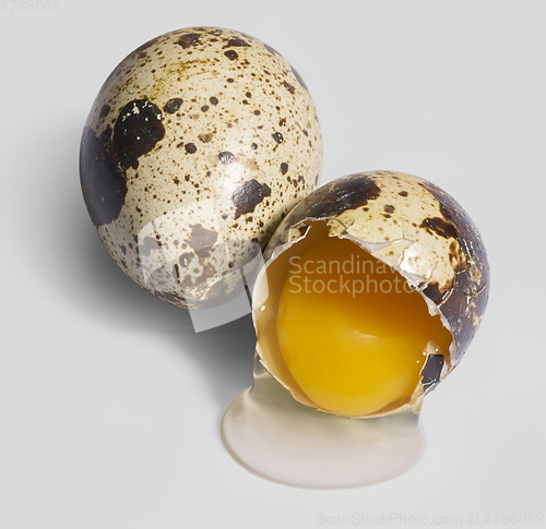 Image of two quail eggs