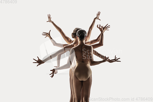 Image of The group of modern ballet dancers. Contemporary art ballet. Young flexible athletic men and women.