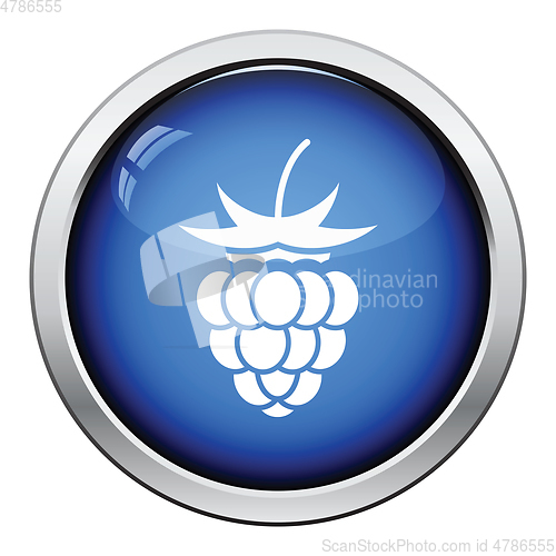 Image of Icon of Raspberry